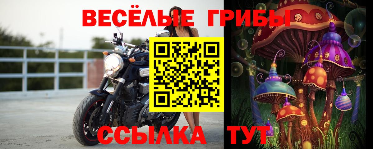 Ишим  Галлюциногенные грибы GOLDEN TEACHER  Вход с VPN  Псилоцибиновые грибы Cubensis 